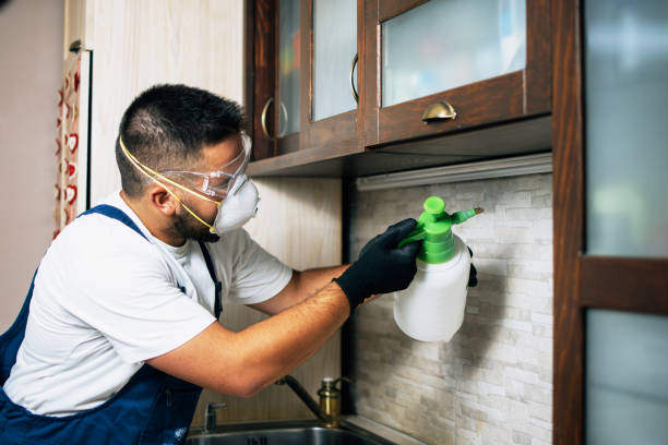 Best Exterminator Services  in Vian, OK