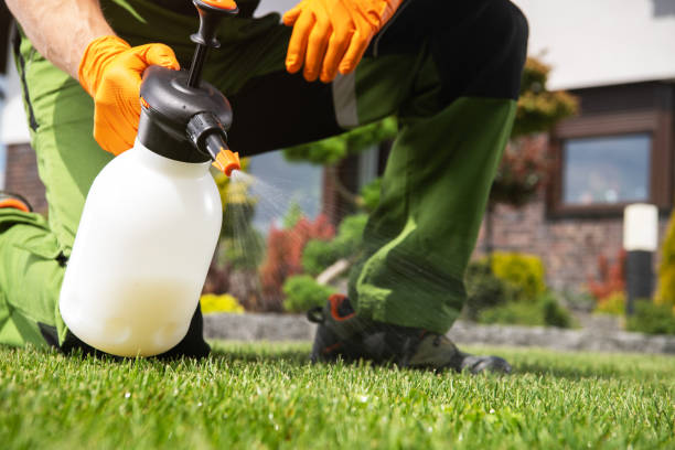 Best Pest Removal Services  in Vian, OK