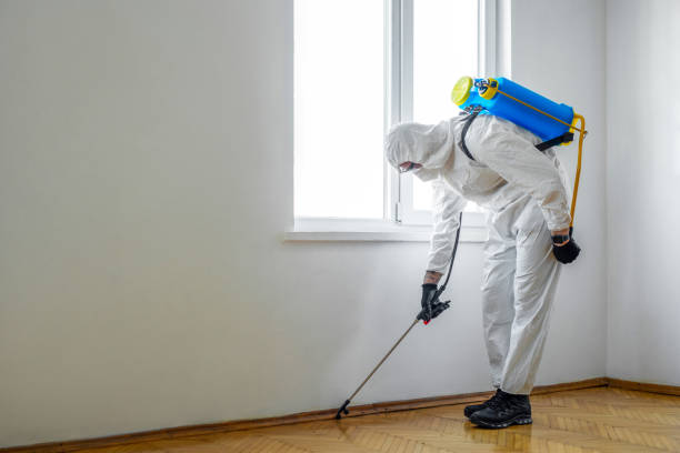 Best Residential Pest Control  in Vian, OK