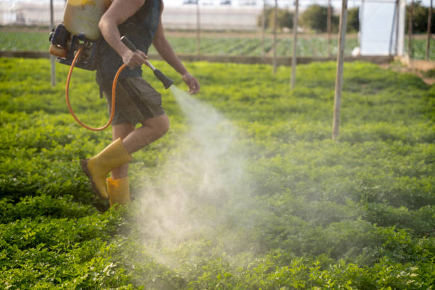 Best Wasp Removal Services  in Vian, OK