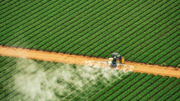 Best Termite Control Services  in Vian, OK