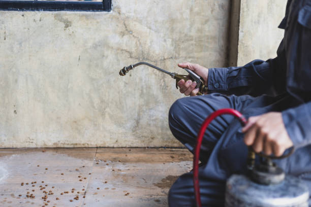 Best Local Pest Control Services  in Vian, OK